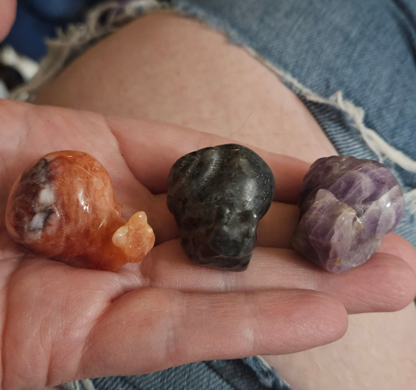 Snails
