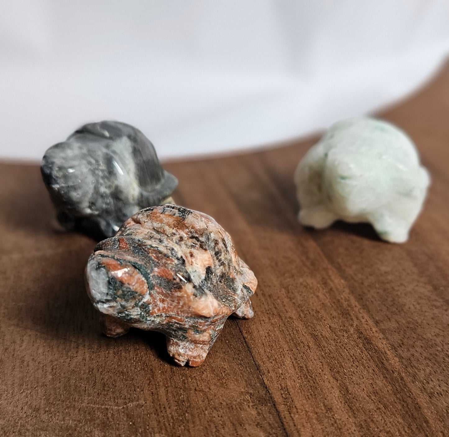 Small Turtle Statue