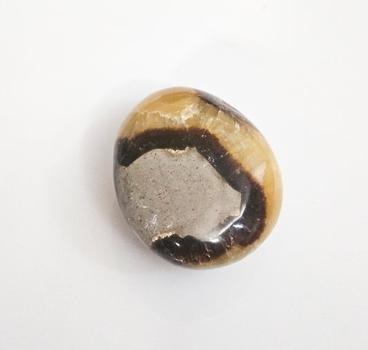 Septarian Palmstone