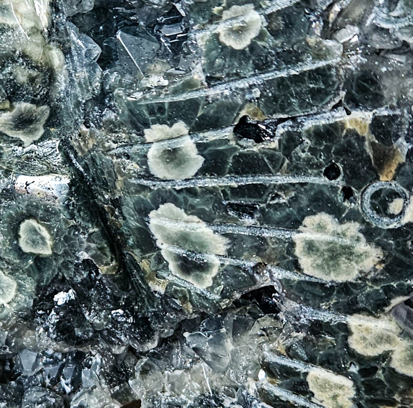 Green Orbicular Jasper Fairy