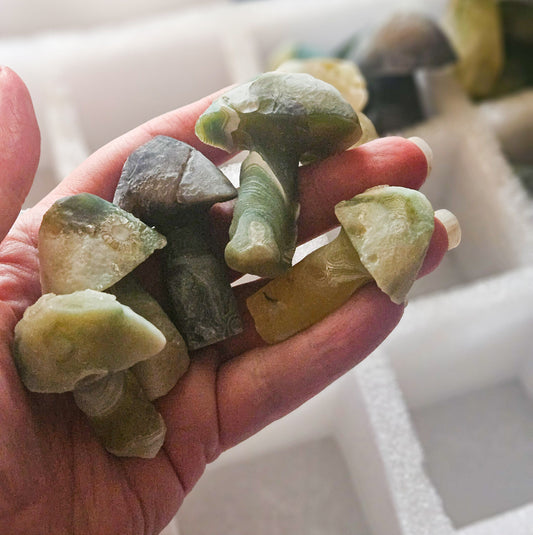 Small Gobi Agate Mushrooms