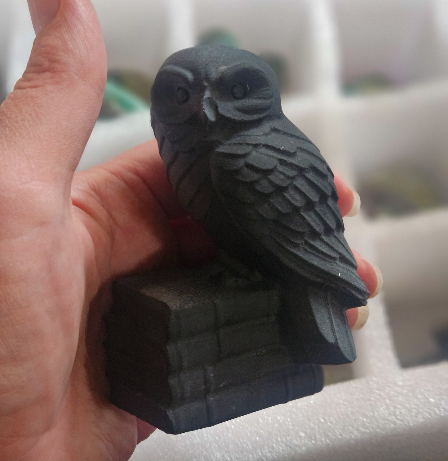 Owl with Books