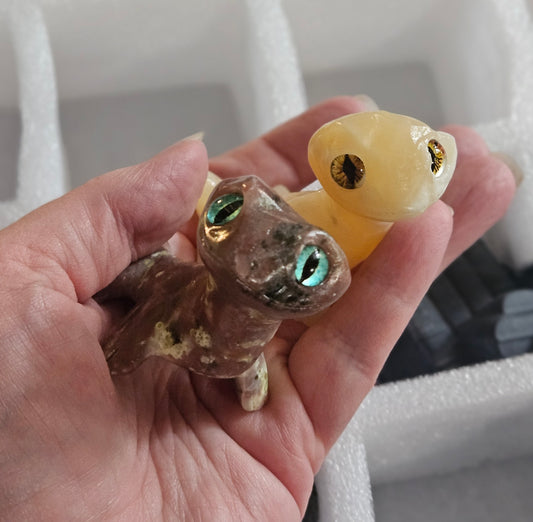 Crystal Salamander