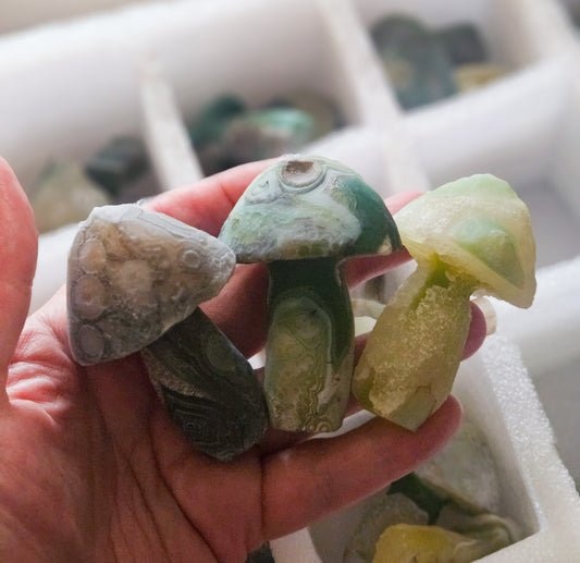 Large Gobi Agate Mushrooms